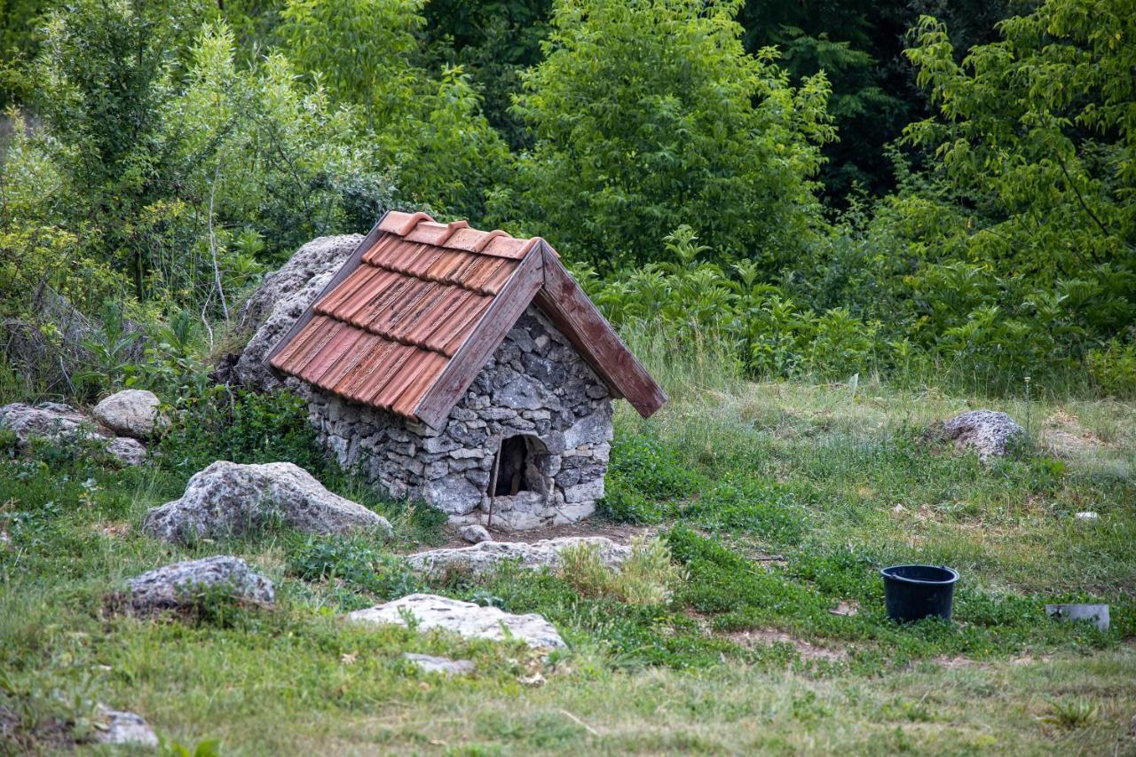 Casa Agricultorului Varzari Butuceny Ngoại thất bức ảnh